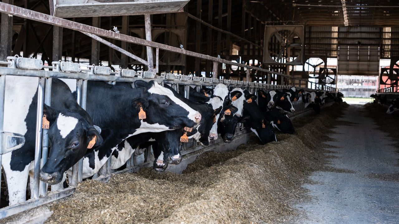 Steep drop in number of farms in New York, new report shows - Vimarsana News